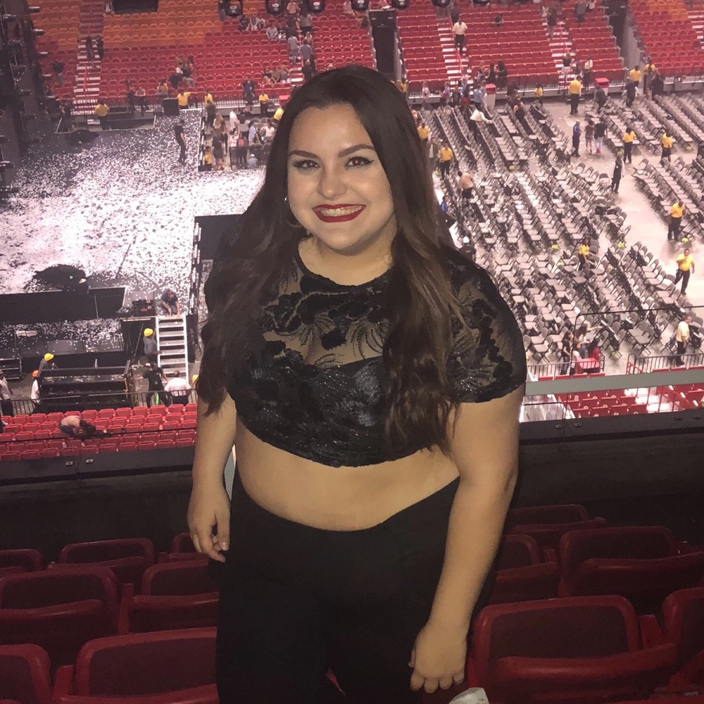 Mesh Sequin Crop Top